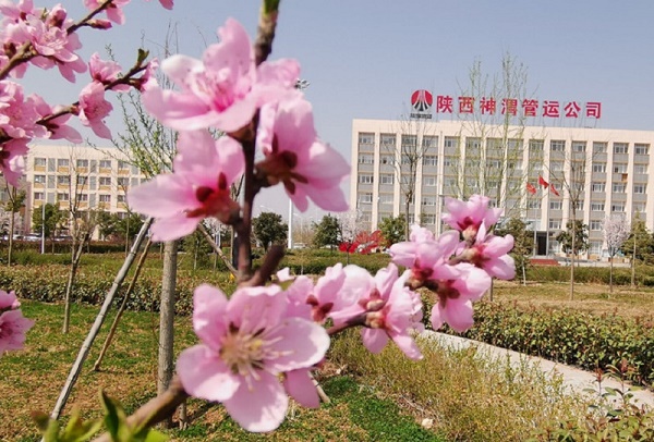 AG平台·(中国)官方网站