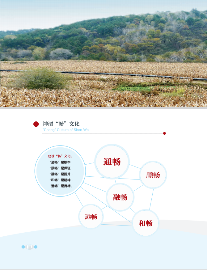 畅文化2.png