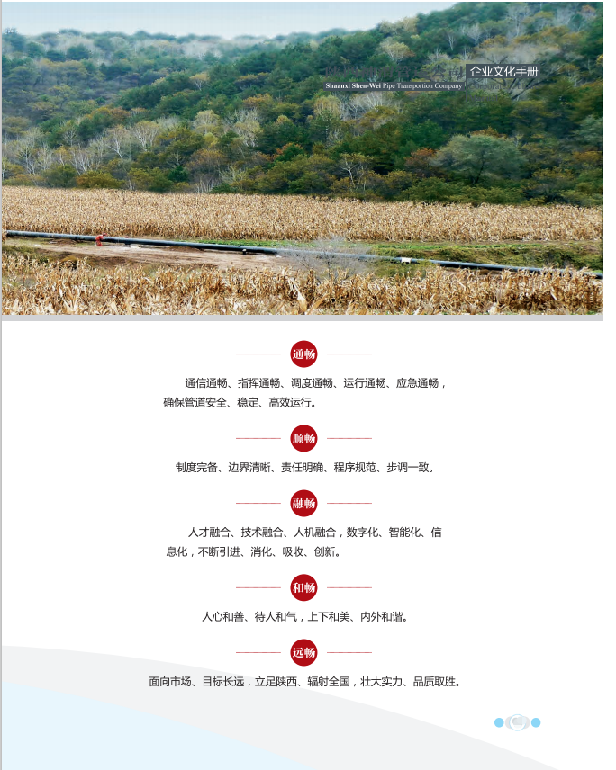 畅文化3.png