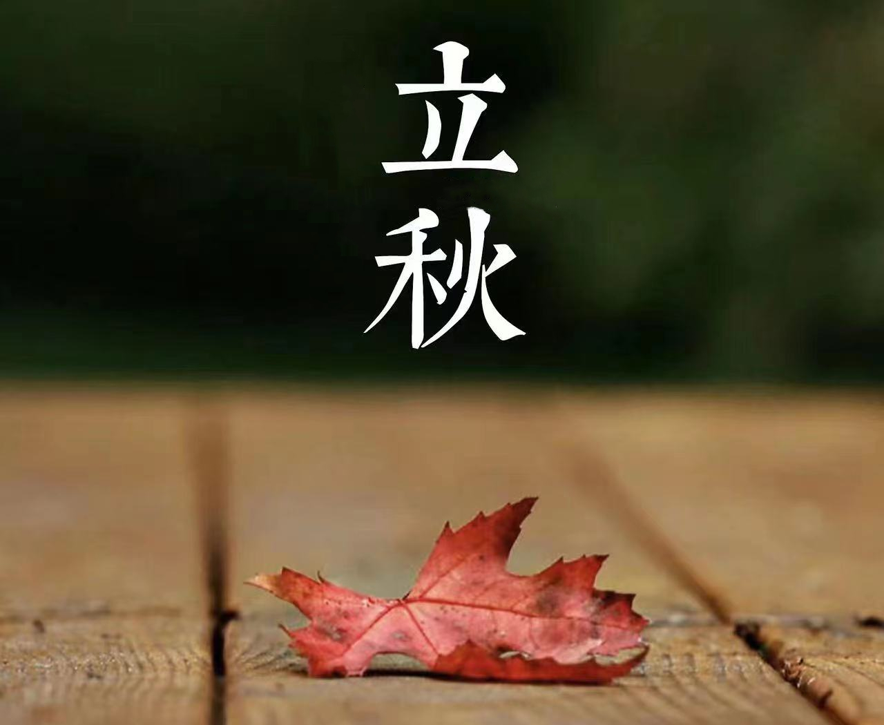 只做封面配图.jpg