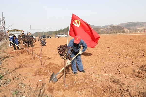 AG平台·(中国)官方网站