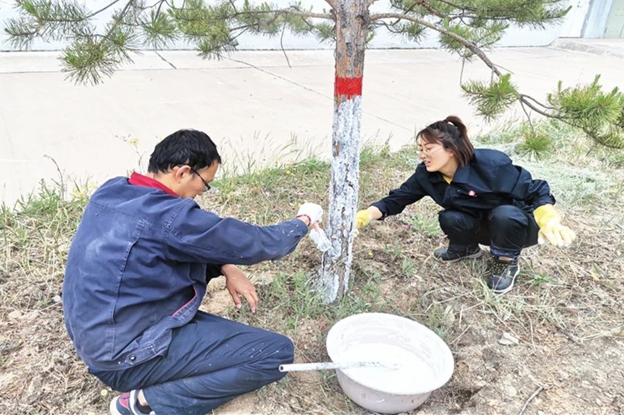 AG平台·(中国)官方网站
