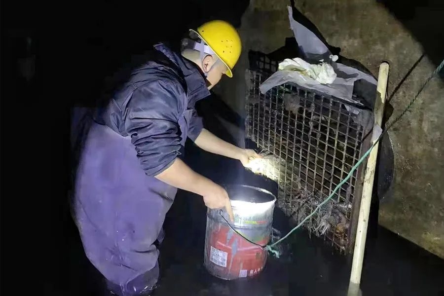 AG平台·(中国)官方网站