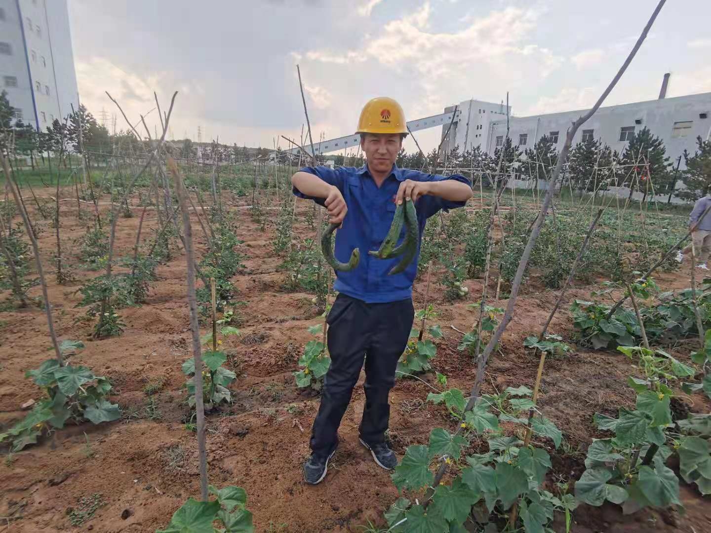 AG平台·(中国)官方网站