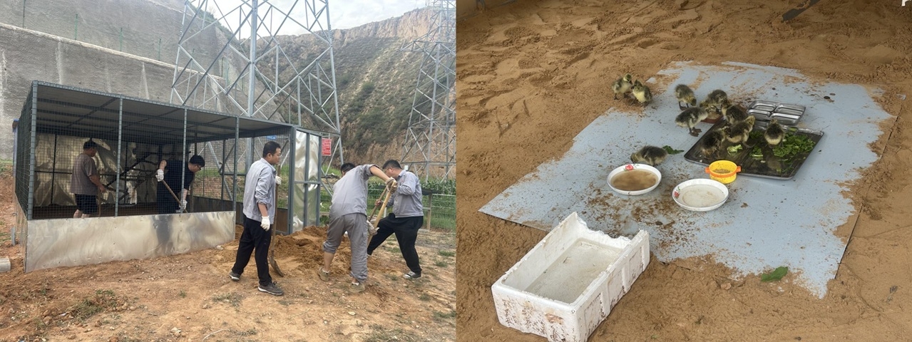 AG平台·(中国)官方网站