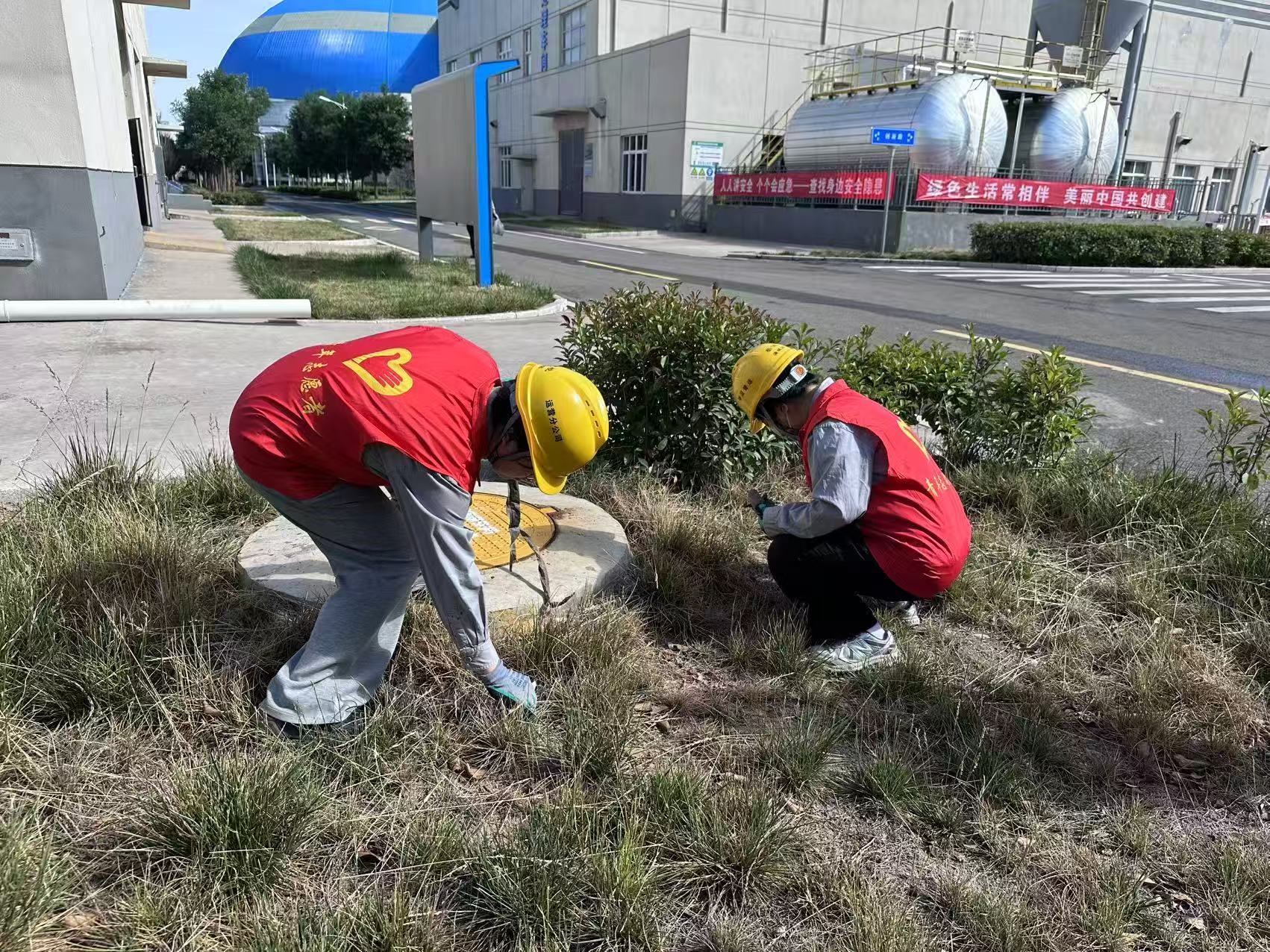AG平台·(中国)官方网站