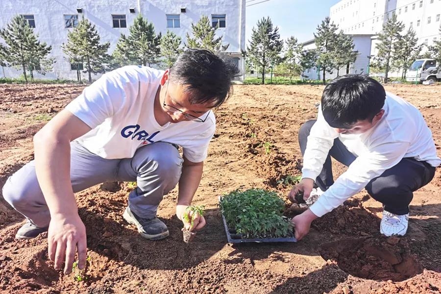 AG平台·(中国)官方网站
