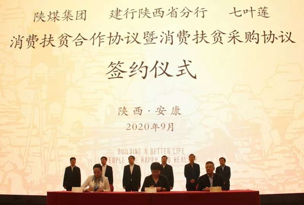 AG平台·(中国)官方网站