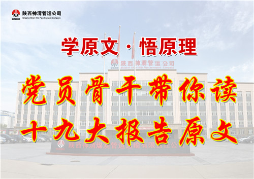 AG平台·(中国)官方网站