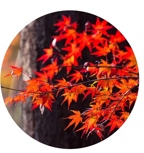 AG平台·(中国)官方网站